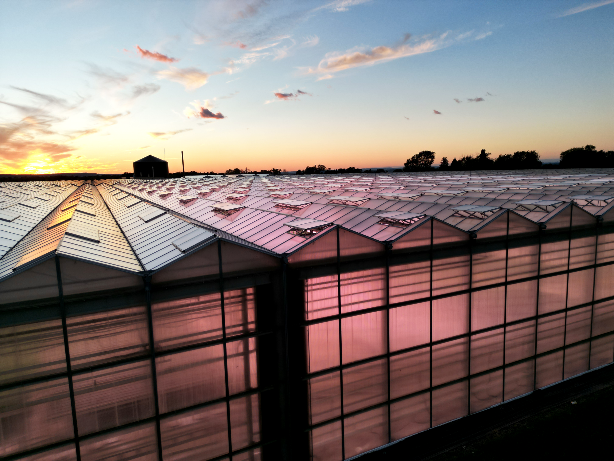 greenhouse_roof_5_4031x3024_349m_edited.png